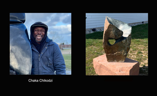 MEET THE ARTIST Chaka Chikodzi