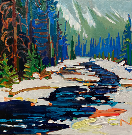 Banff NP Winter Creek, 2024