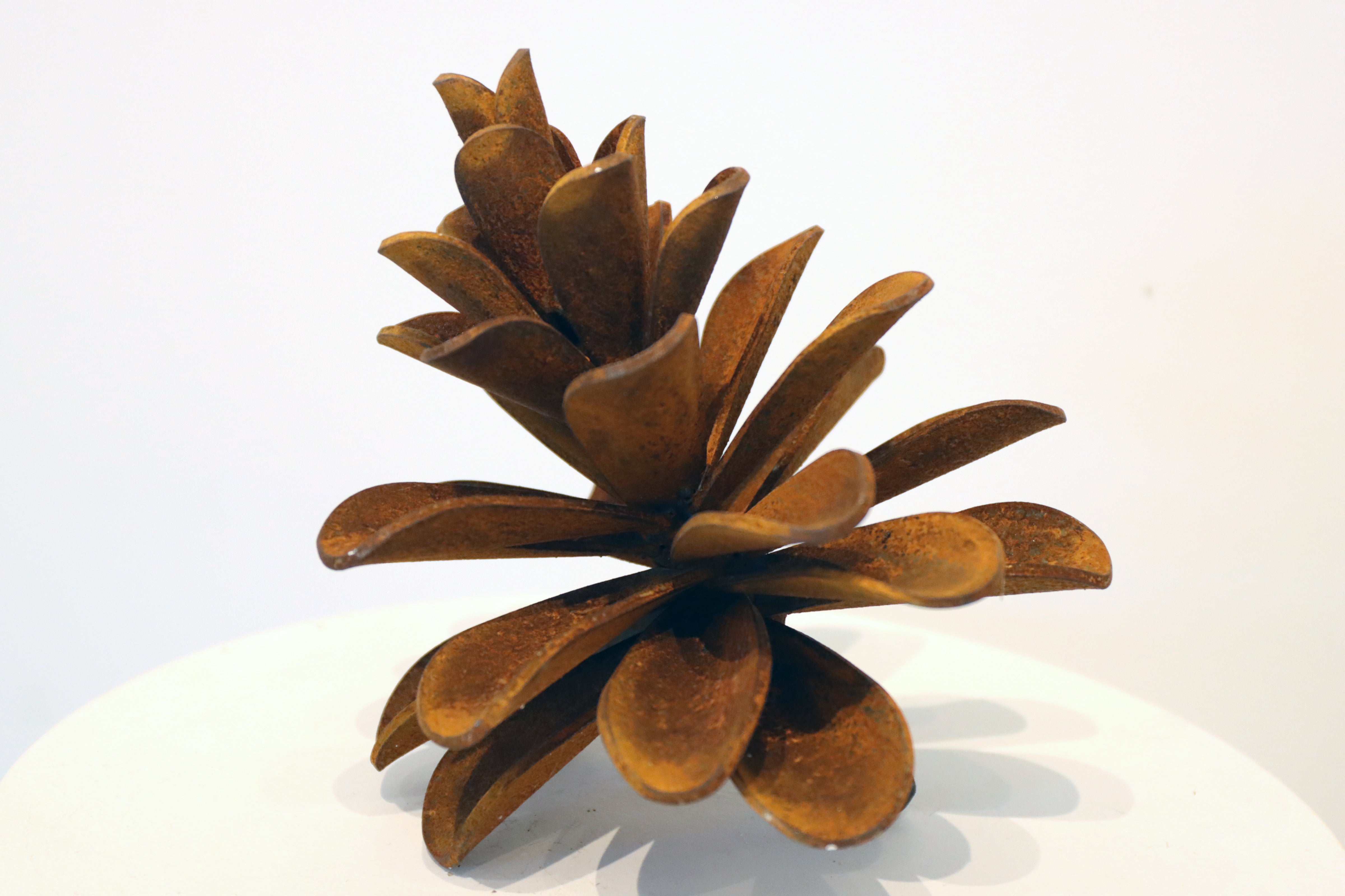 24-241 Pine Cone, 2024