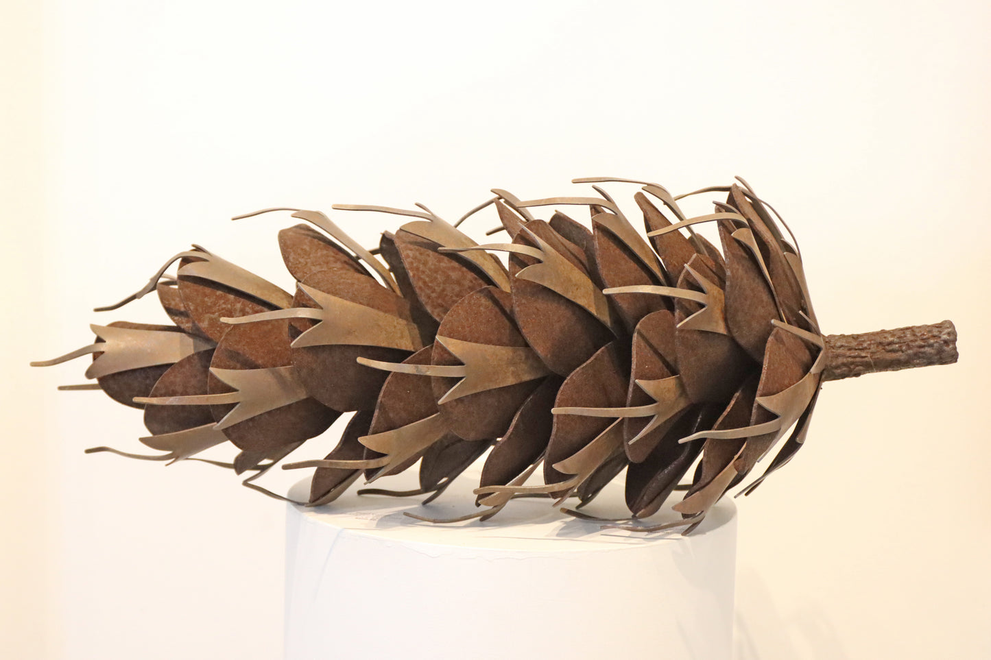 14-161 Fir Cone, 2014