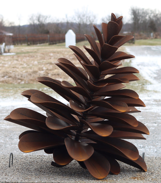 24- 434 Pinecone, 2024