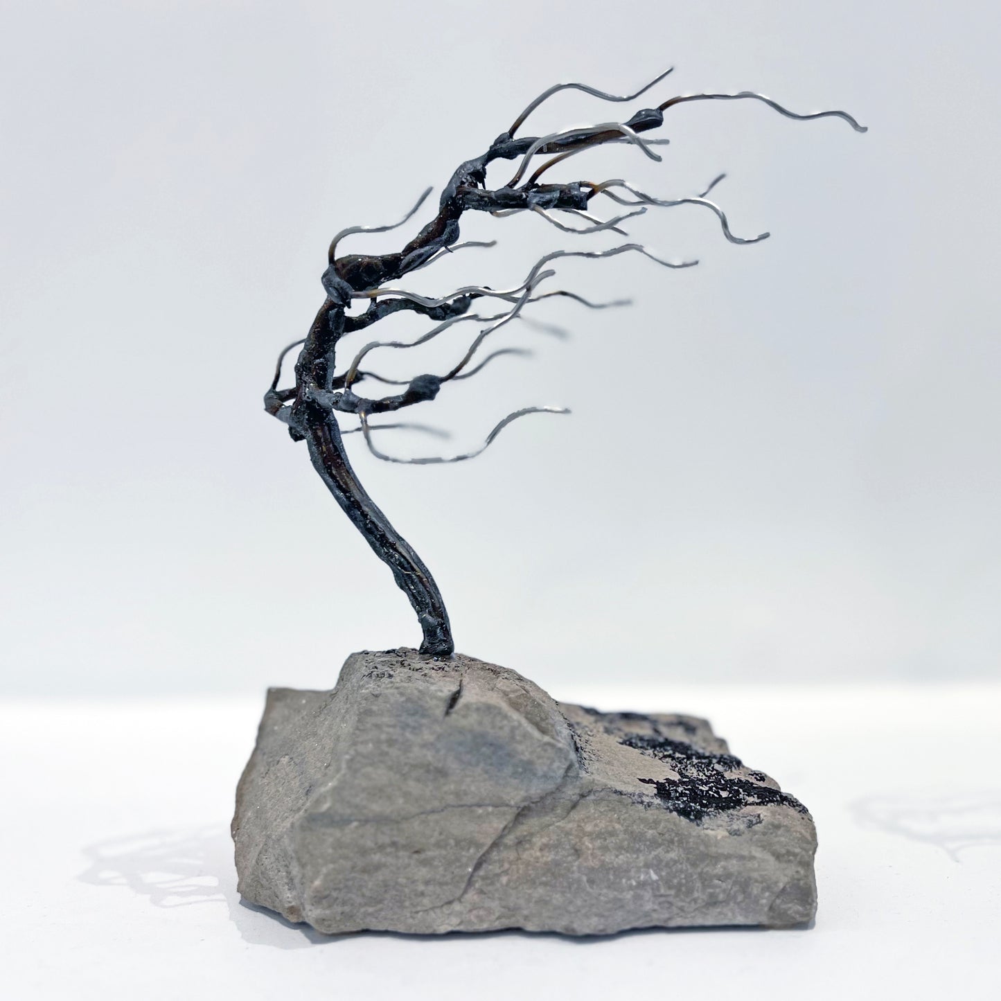 24-121 Windswept Tree in Rock, 2024